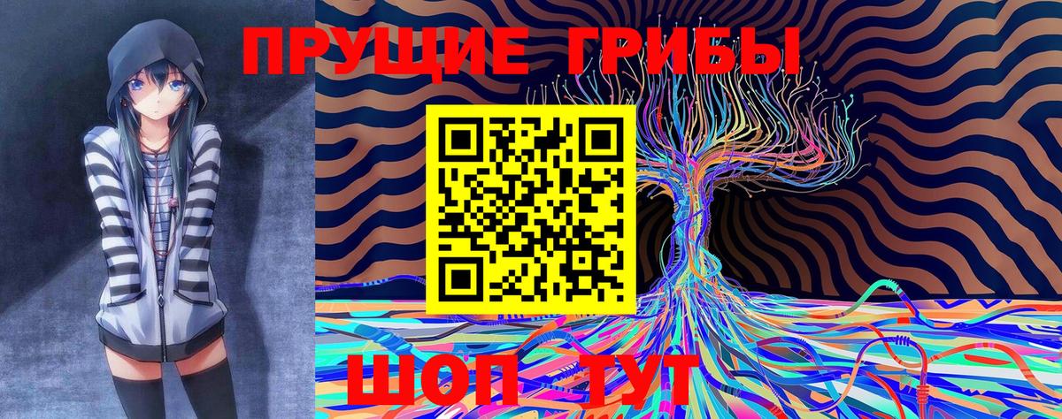 Галлюциногенные грибы мицелий  продажа наркотиков  Крымск  Вход с VPN 